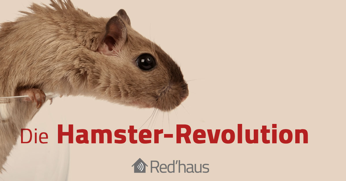 Mehr über den Artikel erfahren Die Hamster-Revolution